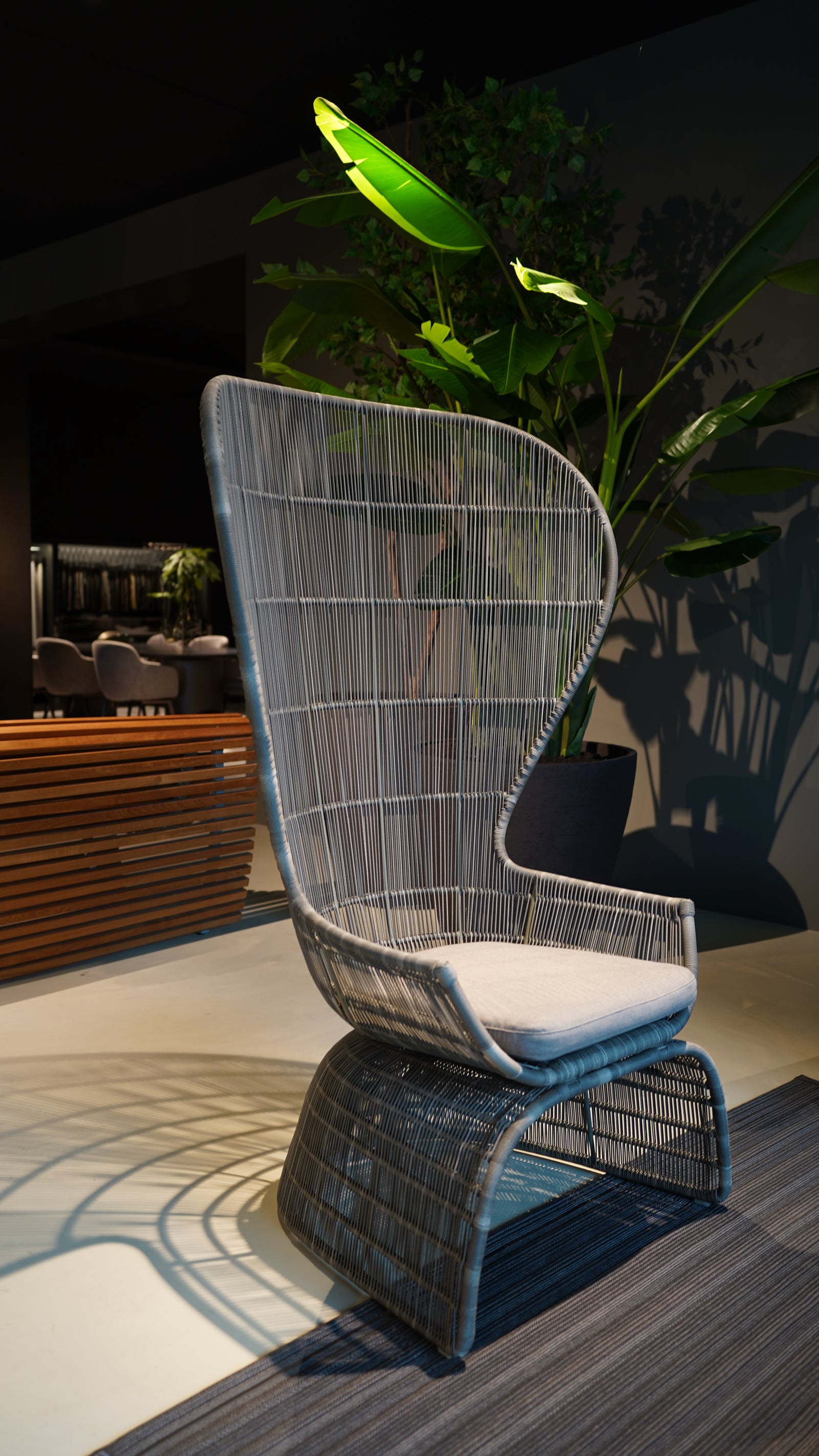B&B Italia Crinoline armchair C5P - Size: 102xD78xH156cm + seat cushion
